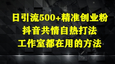 日引流500+精准创业粉，抖音共情自热打法，工作室都在用的方法-极客网创
