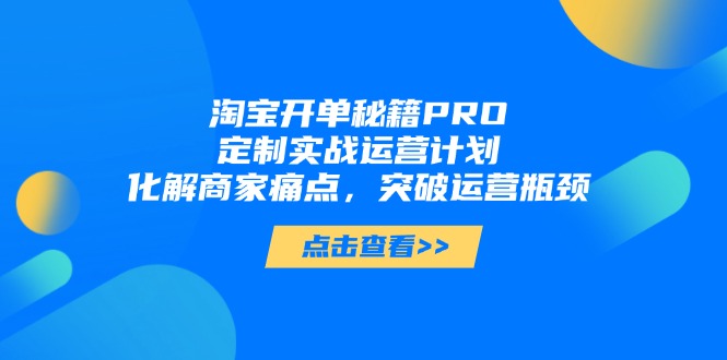 淘宝开单秘籍PRO，定制实战运营计划，化解商家痛点，突破运营瓶颈-极客网创