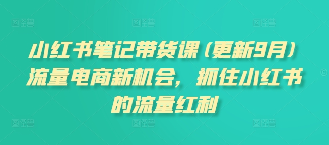 小红书笔记带货课(更新25年4月)流量电商新机会，抓住小红书的流量红利-极客网创
