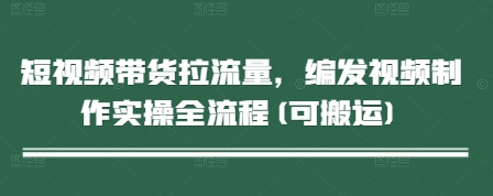 短视频带货拉流量，编发视频制作实操全流程(可搬运)-极客网创
