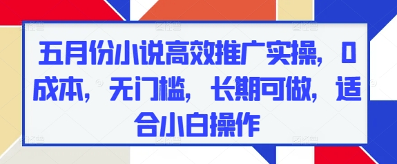 五月份小说高效推广实操，0成本，无门槛，长期可做，适合小白操作-极客网创