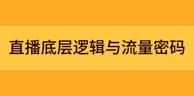 直播底层逻辑与流量密码：定位模型+案例拆解，急速流承接与数据优化全攻略-极客网创