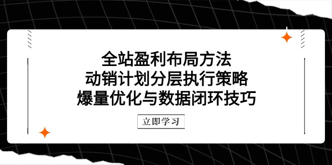 全站盈利布局方法：动销计划分层执行策略，爆量优化与数据闭环技巧-极客网创