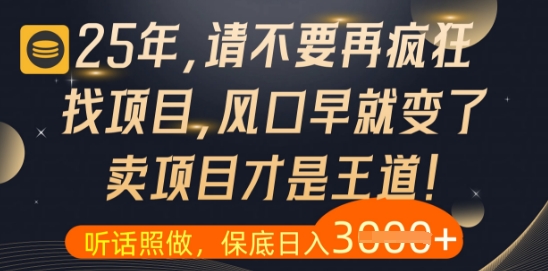 什么？25年你还在疯狂找项目做，醒醒吧，看完这些你全都懂了【揭秘】-极客网创