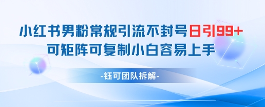 小红书男粉常规引流不封号日引99+变现简单 可矩阵可复制小白容易上手-极客网创