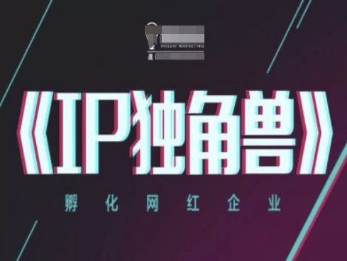 IP独角兽，孵化网红企业，ip教程-极客网创