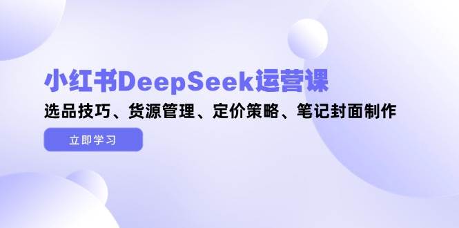 小红书DeepSeek运营课，选品技巧、货源管理、定价策略、笔记封面制作-极客网创