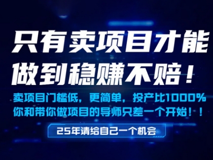 只有卖项目才能做到稳挣不赔，门槛低，更简单，你也可以年入百个W【揭秘】-极客网创