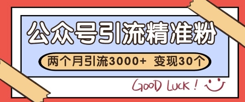 公众号精准粉引流玩法，2个月3000+精准粉，变现30个W【揭秘】-极客网创