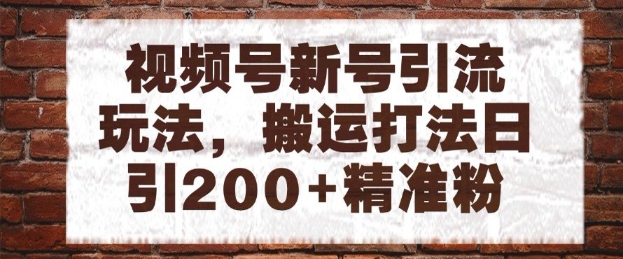 视频号新号引流玩法，搬运打法日引200+精准粉，可矩阵放大【揭秘】-极客网创