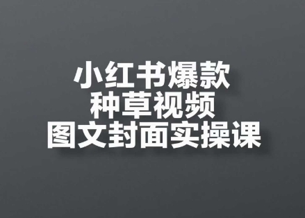 小红书爆款种草视频图文封面实操课，​开店、选品、引流、变现全流程-极客网创