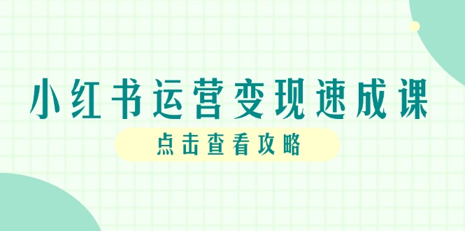 小红书运营变现速成课，账号搭建到暴力起号，个人IP全流程指南-极客网创