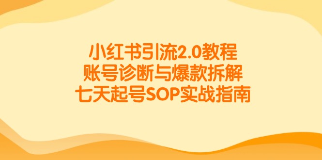 小红书引流2.0教程，账号诊断与爆款拆解，七天起号SOP实战指南-极客网创