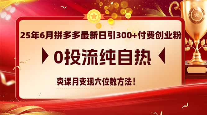 25年6月拼多多最新日引300+付费创业粉，0投流纯自热 卖课月变现六位数方法-极客网创