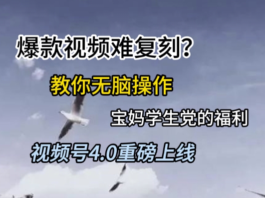 视频号4.0重磅上线，爆款视频难复刻？教你无脑操作宝妈学生党的福利【揭秘】-极客网创