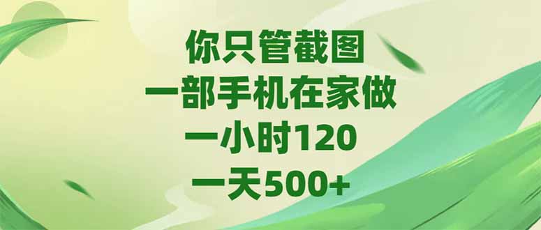 你只管截图，一部手机在家做，一小时120，-天500+-极客网创