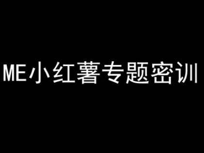 ME小红薯专题密训-小红书电商教程-极客网创