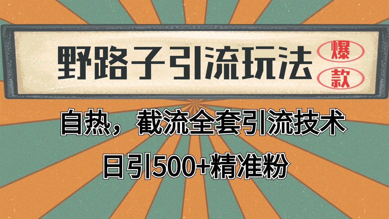 2024首发野路子引流玩法截流自热全平台打法，全自动引流【日引2000+精准客户】-极客网创