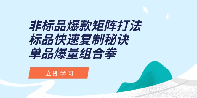 非标品爆款矩阵打法，标品快速复制秘诀，单品爆量组合拳-极客网创