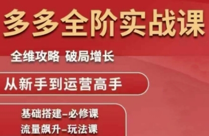 拼多多全阶实战课程，全维攻略，破局增长，从新手到运营高手-极客网创