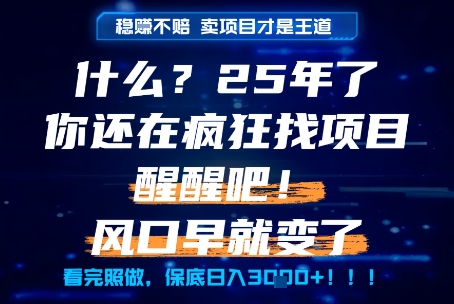 什么？25年你还在疯狂找项目做，醒醒吧，看完这些你全都懂了！【揭秘】-极客网创