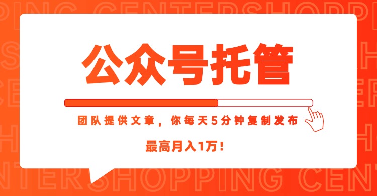 【公众号托管 】我提供文章，你每天５分钟复制发布，最高月入1W-极客网创