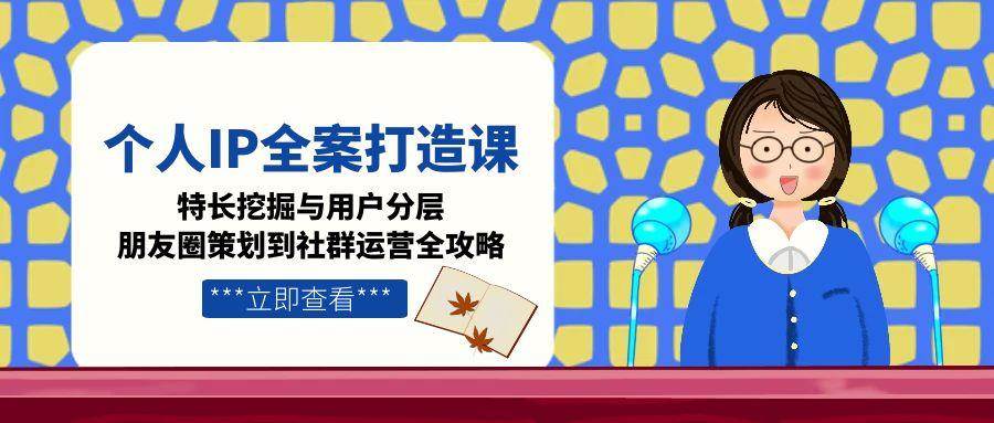 个人IP全案打造课，特长挖掘与用户分层，朋友圈策划到社群运营全攻略-极客网创