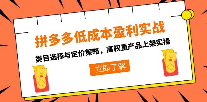 拼多多低成本盈利实战，类目选择与定价策略，高权重产品上架实操-极客网创