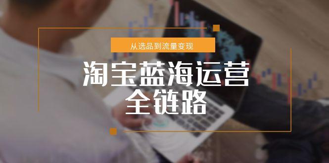 淘宝蓝海运营全链路，从选品到流量变现，小类目突围完整方案-极客网创