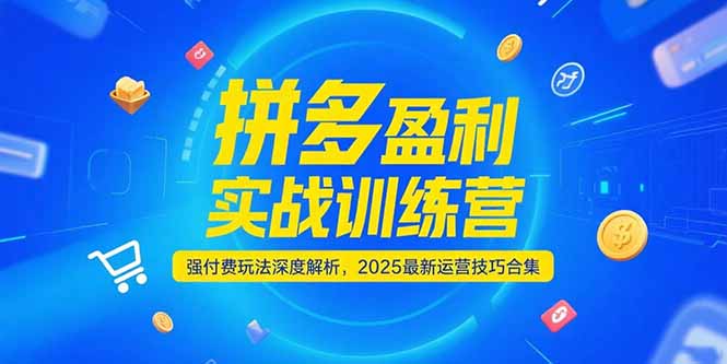 拼多多盈利实战训练营，强付费玩法深度解析，2025运营技巧合集-更新6月-极客网创