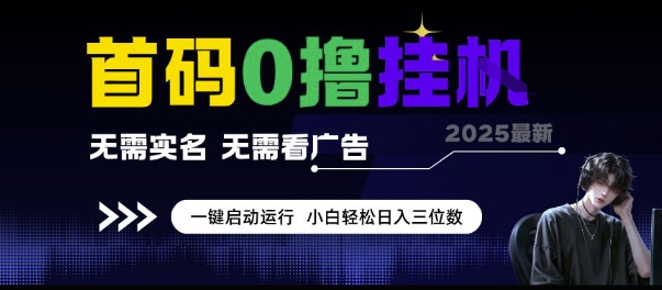 首码0撸挂G项目，无需实名无需看广告 一键启动运行，小白轻松日入三位数【揭秘】-极客网创