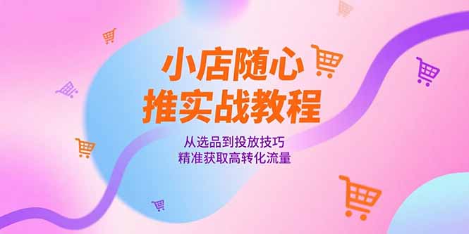 小店随心推实战教程，从选品到投放技巧，精准获取高转化流量-极客网创