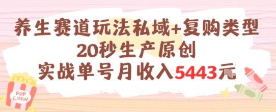 养生赛道玩法私域+复购类型，20秒生产原创实战单号月收入5k+-极客网创