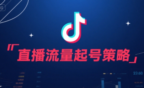 尼采老师·直播流量起号实战课-极客网创