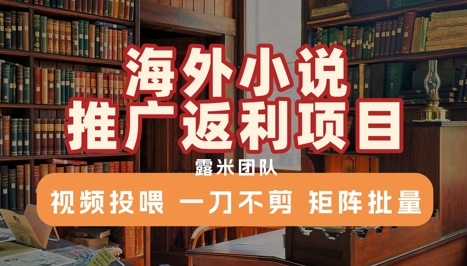 海外小说推广返利项目，视频投喂， 一刀不剪，矩阵批量-极客网创
