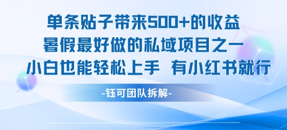 单条贴子带来5张的收益，暑假最好做的私域项目之一，小白也能轻松上手，有小红书就行-极客网创