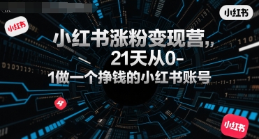 小红书涨粉变现营，21天从0-1做一个挣钱的小红书账号-极客网创