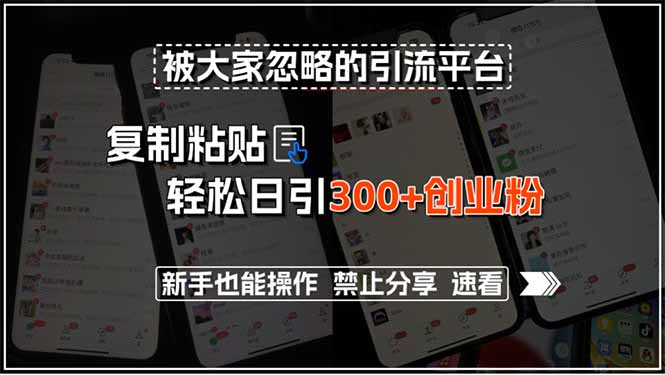 被大家忽略的引流平台，复制粘贴轻松日引300+创业粉，新手也能操作，禁…-极客网创