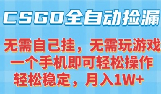CSGO自动捡漏项目，最新独家玩法，一个手机可操作，新手小白轻松月入1W+，操作简单易上手【揭秘】-极客网创