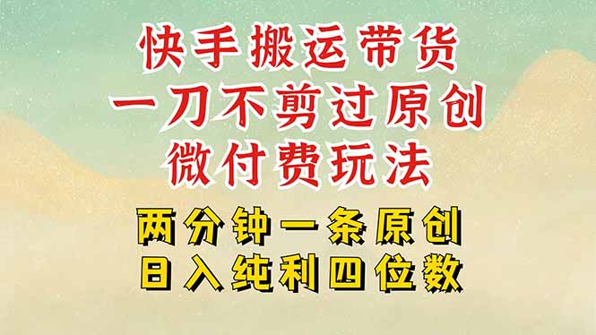 快手黑科技搬运带货，一刀不剪过原创，微付费投流玩法，轻松日入四位数…-极客网创