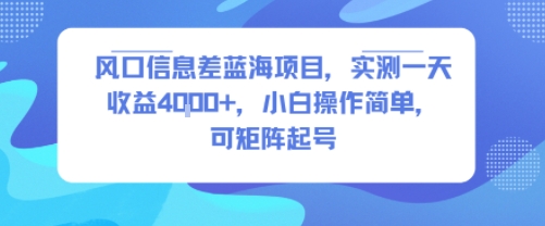 风口信息差蓝海项目，实测一天收益4k+，小白操作简单，可矩阵起号-极客网创