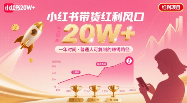 一年时间靠小红书带货项目年入20w+，最不能错的大红利项目-极客网创