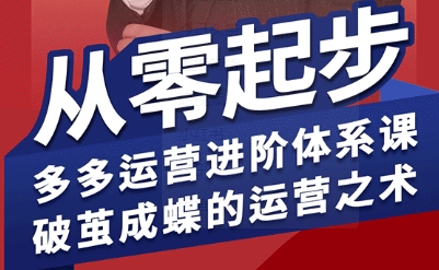 拼多多运营进阶系统课，从零起步，多多运营进阶体系课，破茧成蝶的运营之术-极客网创