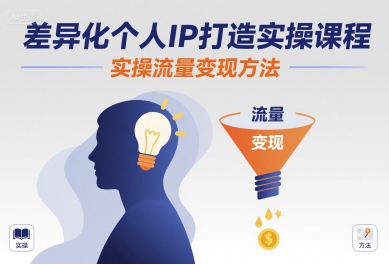 差异化个人IP打造实操课程，实操流量变现方法-极客网创