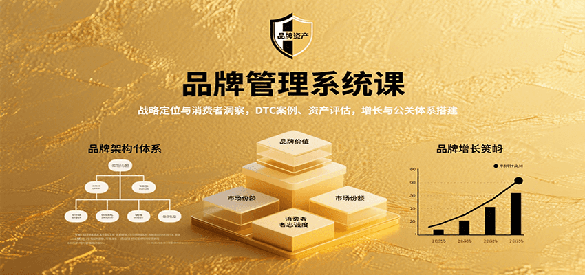 品牌管理系统课：战略定位与消费者洞察，DTC案例、资产评估，增长与公关体系搭建-极客网创