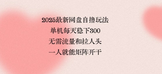 2025最新网盘自撸玩法，单机每天稳下3张，无需流量和拉人头，一个人就可轻松矩阵，全网独一份【揭秘】-极客网创