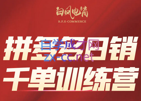 白凤电商·拼多多日销千单训练营(更新8月)-极客网创