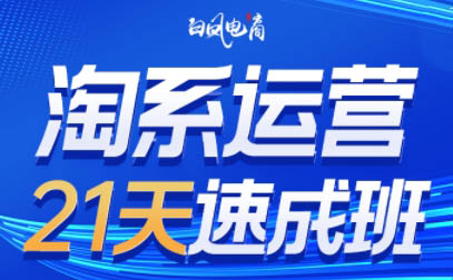 白凤电商·淘系运营21天速成班(更新8月)-极客网创