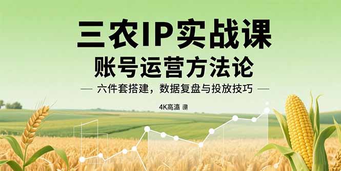 三农IP实战课：账号运营方法论，六件套搭建，数据复盘与投放技巧-极客网创