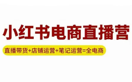 申铭老师·小红书电商直播营(更新)-极客网创